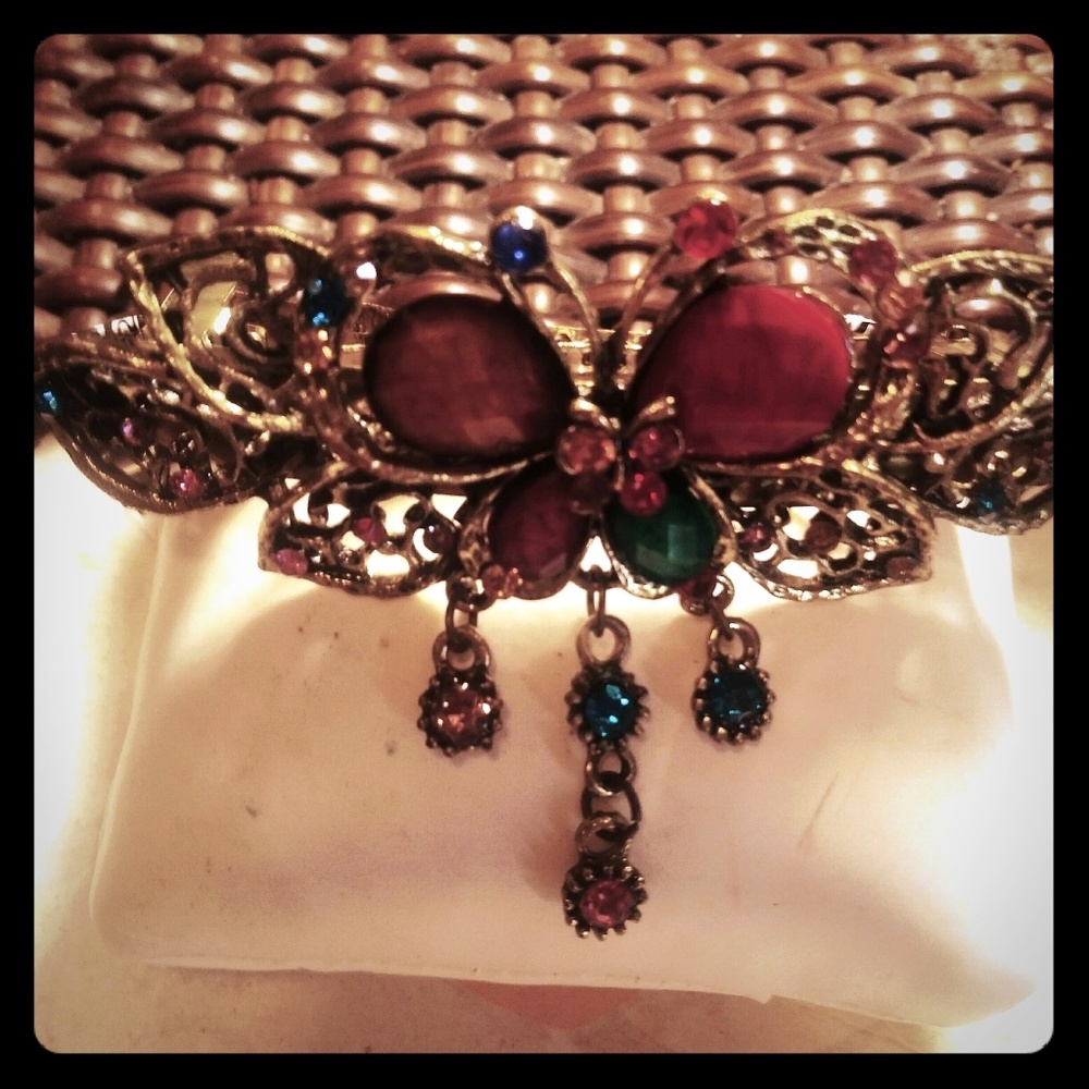 ABSOLUTELY GORGEOUS 3X2" HAIR CLASP